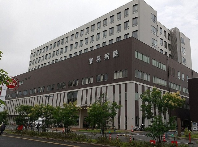 ヴェルジールのその他|その他