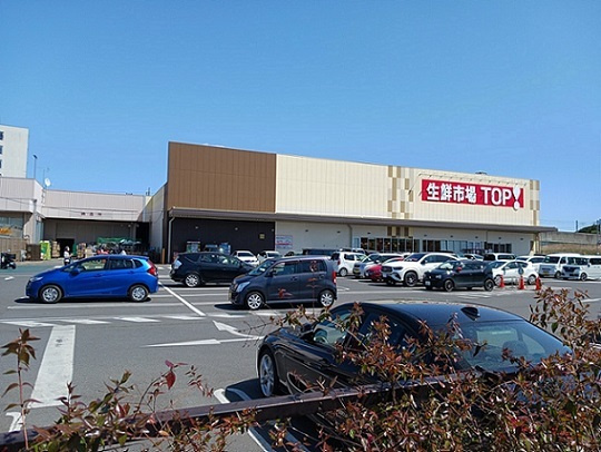 ヴェルジールの周辺|その他