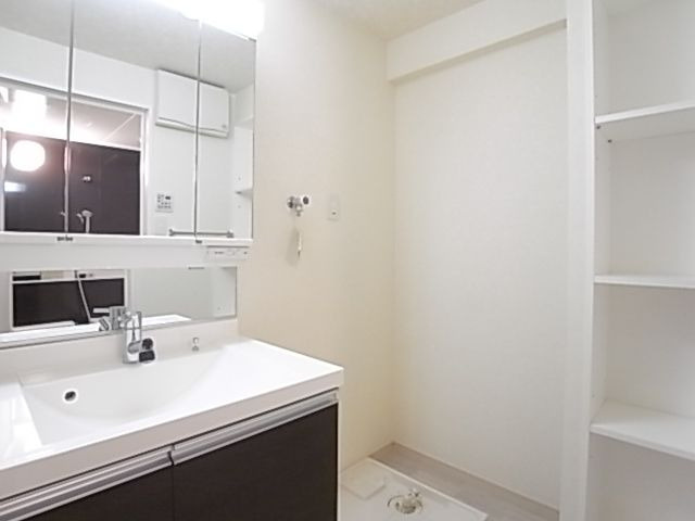 ラピスラズリ桜坂の洗面所