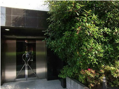 ＣＹＮＴＨＩＡ　ＦＯＵＲ－Ｄ　ＤＡＩＴＡＢＡＳＨＩのその他