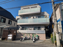 イデオ椎の実の画像