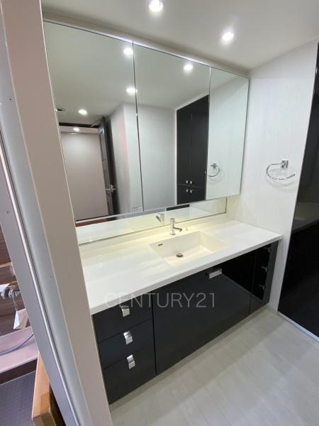 シティタワー前橋千代田町の独立洗面台