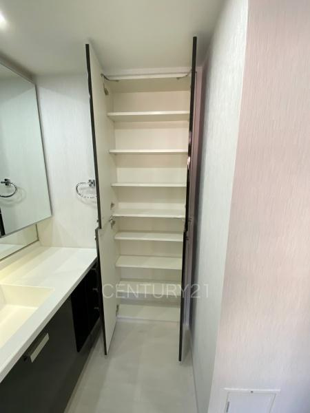 シティタワー前橋千代田町の独立洗面台|毎日の着替え・タオルなどを仕舞える便利な収納付きです。