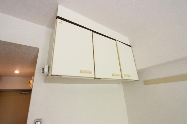 シラギクハイツの収納