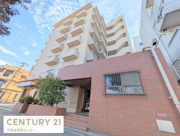 ドムール南恩加島の画像