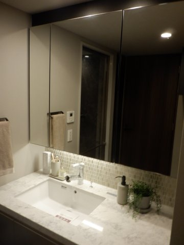 ブランズ神楽坂の独立洗面台