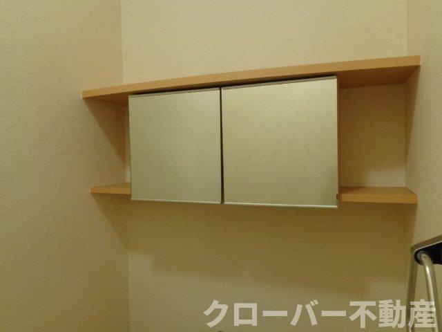 サンタクララの収納|ＷＣ収納