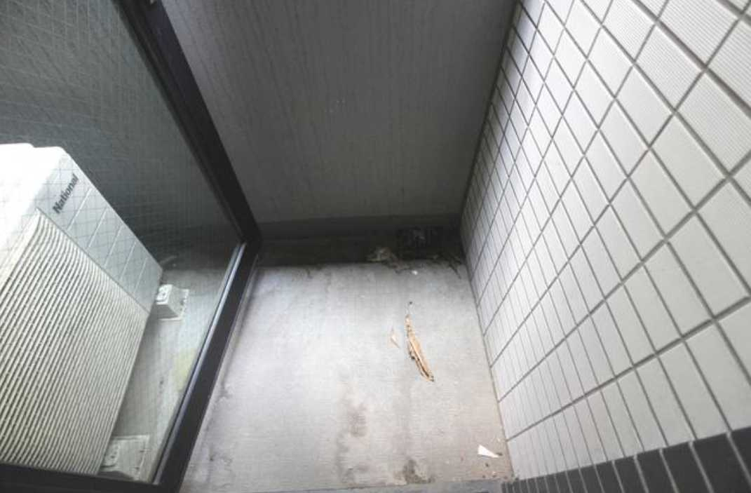 グランドコンシェルジュ用賀アジールコート　ネット無料　分譲賃貸　角部屋のバルコニー