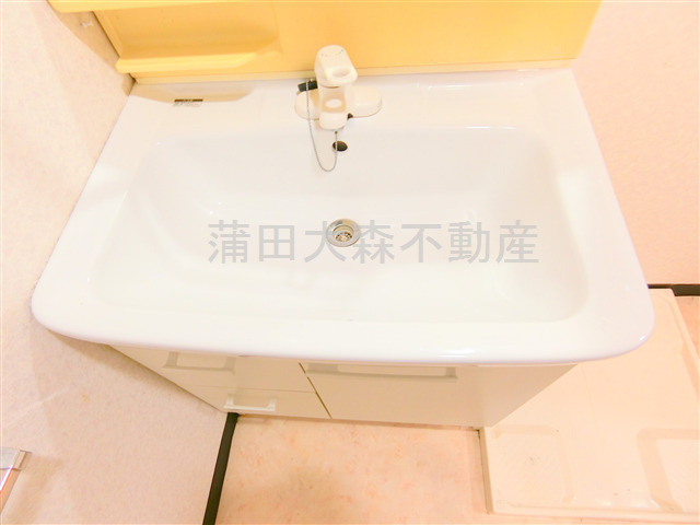 菱和パレス大森西の洗面所