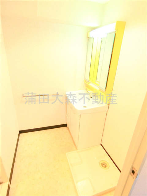 菱和パレス大森西の洗面所