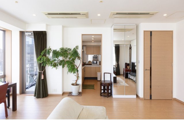 SAION SAKURAZAKAの画像