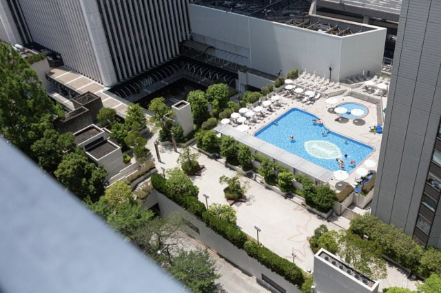 SAION SAKURAZAKAの画像