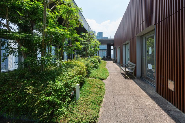 SAION SAKURAZAKAの画像