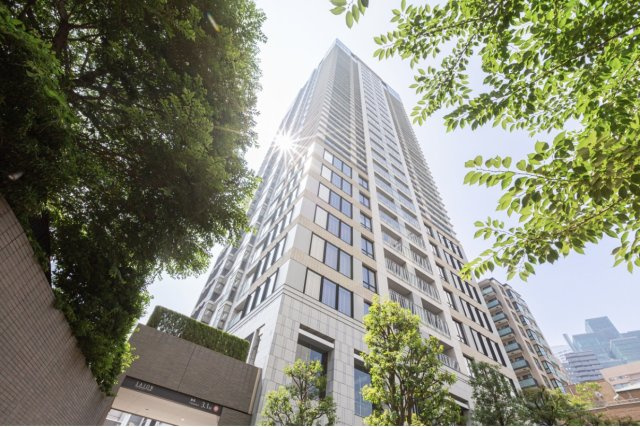 SAION SAKURAZAKAの画像