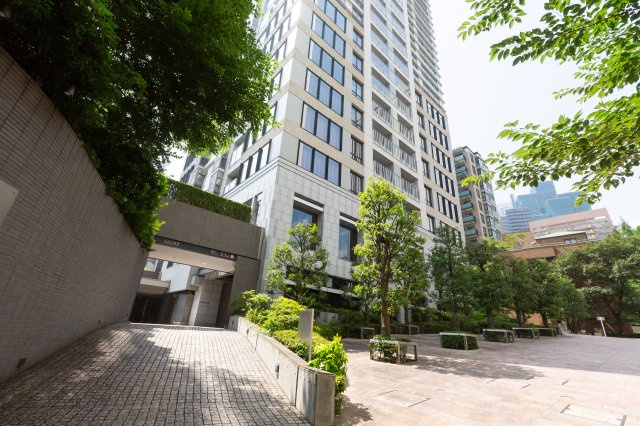 SAION SAKURAZAKAの画像