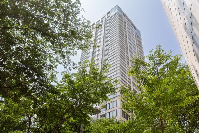 SAION SAKURAZAKAの画像