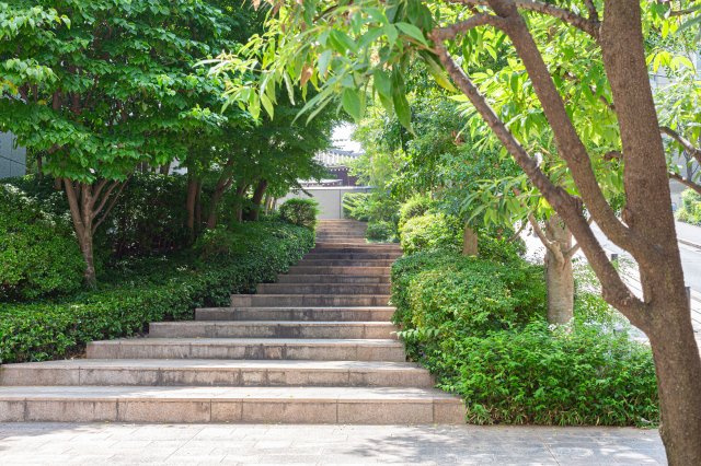 SAION SAKURAZAKAの画像