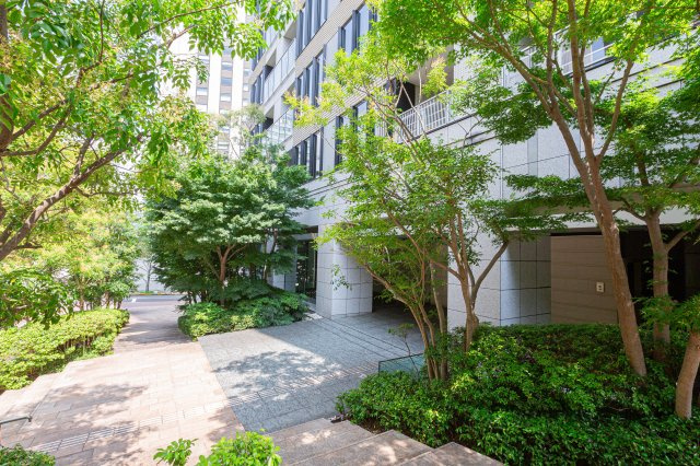 SAION SAKURAZAKAの画像