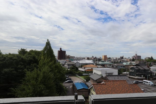 コートシャインの展望