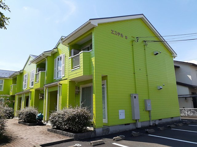 エステル　Ｂの外観