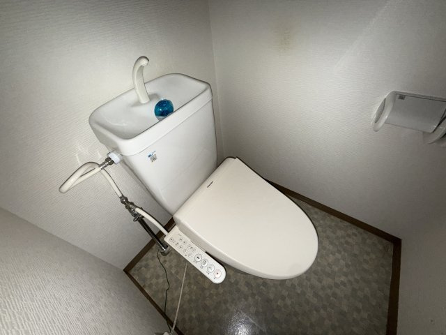 ピア・ルミナス1番館のトイレ