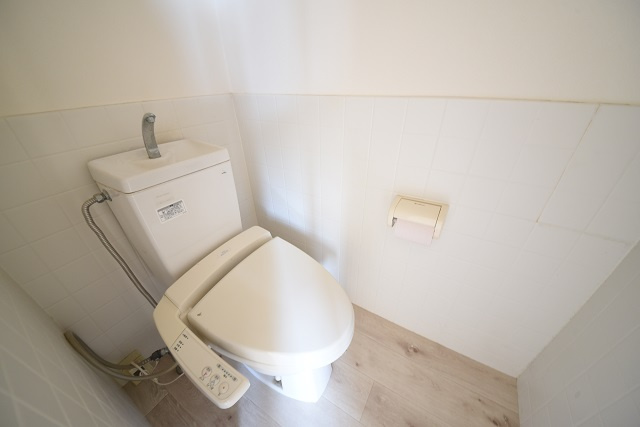 呉日興マンションのトイレ