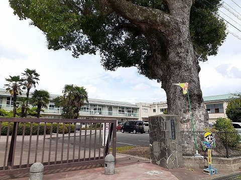 ボア・ソルテ　Ｃの周辺|知恵島小学校まで600m