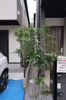 【外観】 | 撮影日 2025年10月24日 15:50 曇り