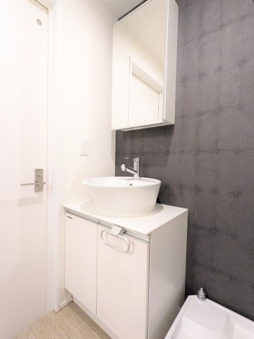 カサプレミア代田の洗面所|広い洗面スペース