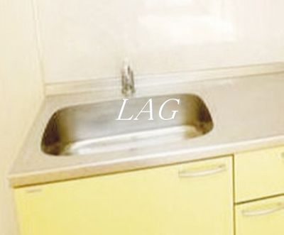 【その他】 | アスピリアエミネンスⅡ | シンクです。