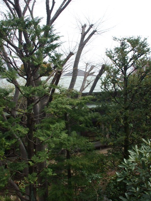 ガーデンコートの展望