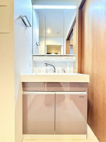 ロイジェント玉川の洗面所