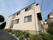 sommet(ソメ)の画像