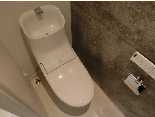 ZOOM碑文谷　ペット相談　デザイナーズ　分譲　角部屋のトイレ