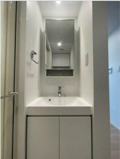 ZOOM碑文谷　ペット相談　デザイナーズ　分譲　角部屋の洗面所