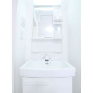 メゾン・ド・ジュネス常盤平の洗面所