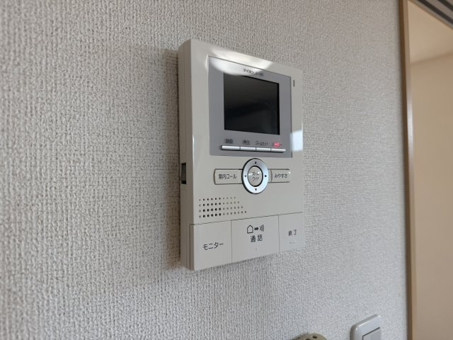 ペガサスのセキュリティ