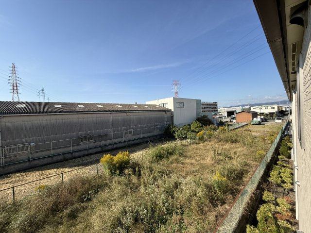 ペガサスの展望