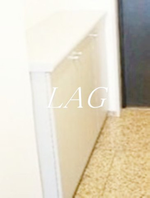 【設備】 | リンデンハイム府中 | シューズボックスです。