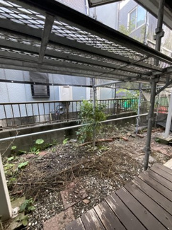 【庭】 | タウンハウス市川