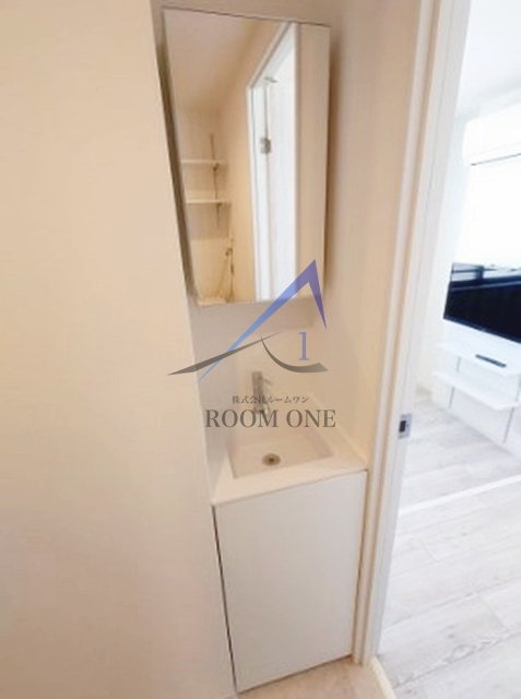 フィオーレ西日暮里Ａの洗面所|洗面台です。