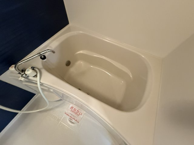 プレアルスの浴室