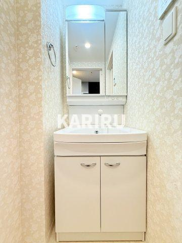 Luxe深江橋Ⅱの洗面所