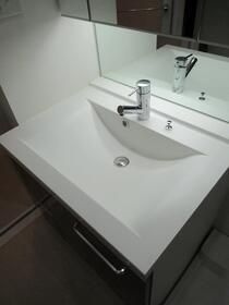 ブライズ大森東クアトロの洗面所