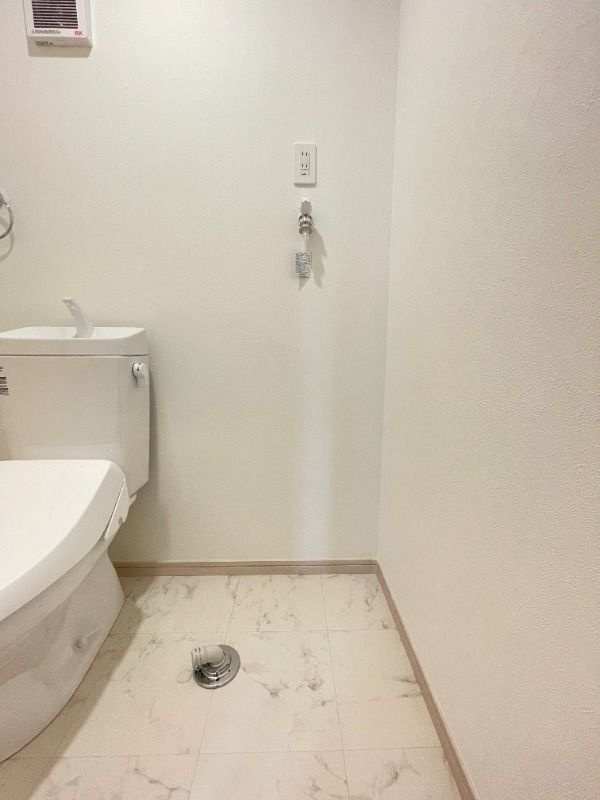 Luxカシオペアのその他