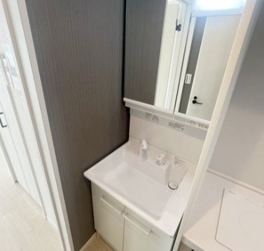 Lavare新中里の洗面所