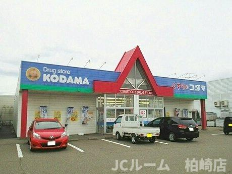 ブランメールⅡの周辺|くすりのコダマまで900m