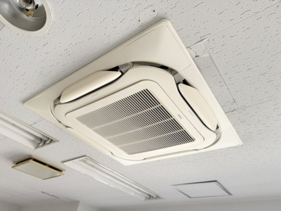 【その他】 | ヤマキドノール