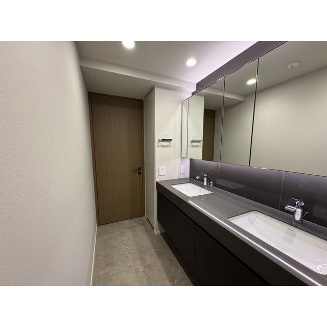 ザ・パークハウス千代田六番町の独立洗面台