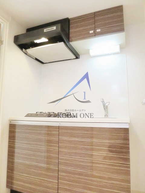 スカイコートパレス溝の口